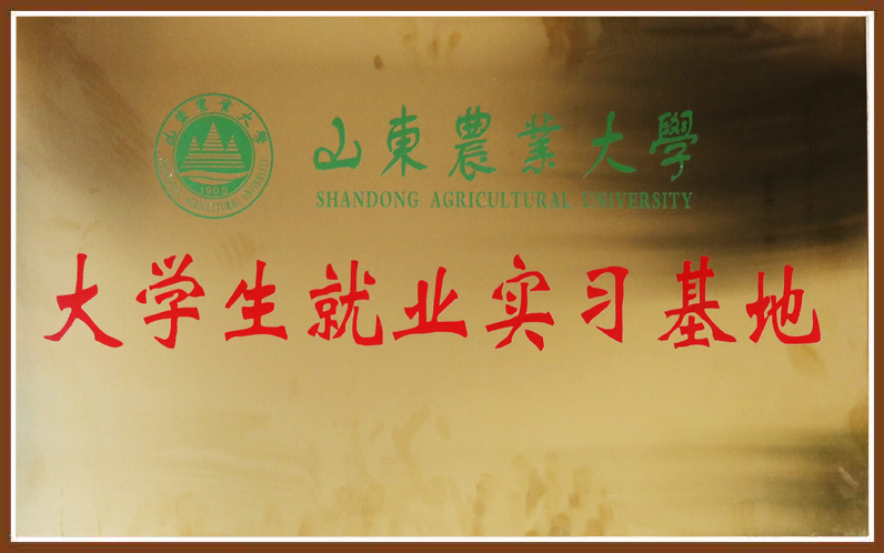 开元游戏大厅app·(中国集团)官方网站