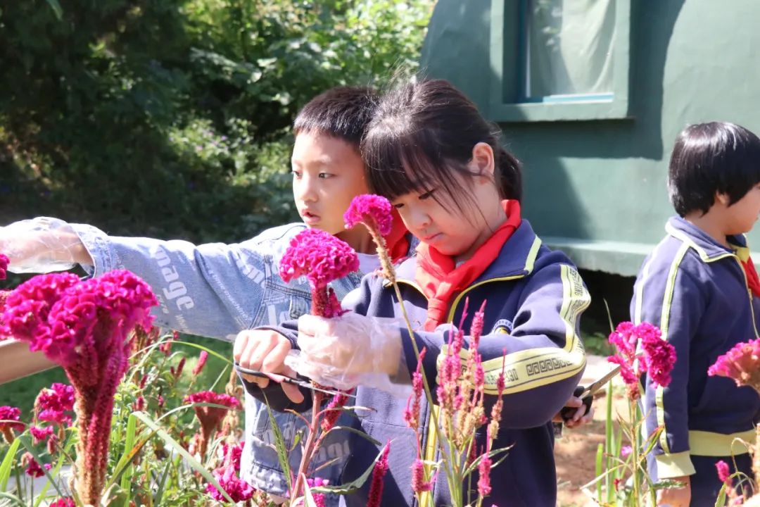 开元游戏大厅app·(中国集团)官方网站