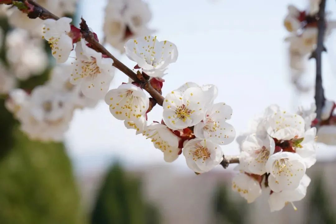 开元游戏大厅app·(中国集团)官方网站