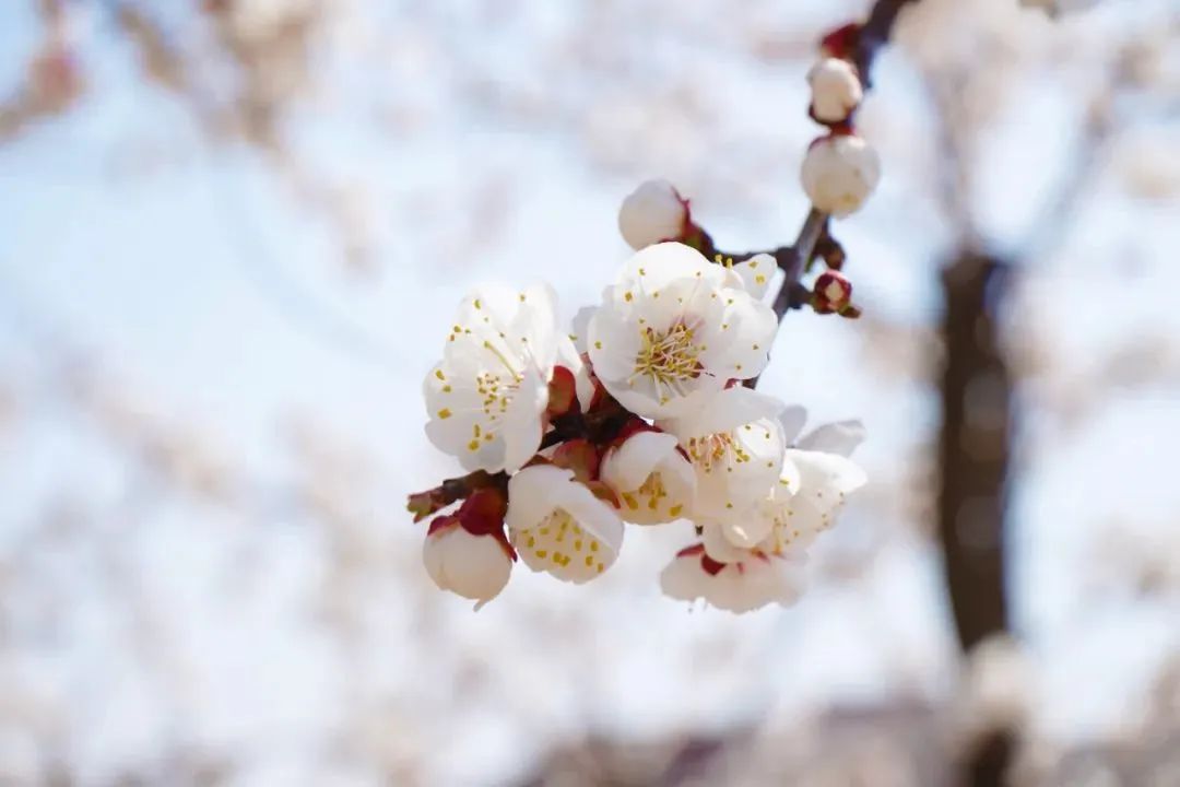 a448df503fe2d2cf4658f9133fd6326f 开元游戏大厅app·(中国集团)官方网站