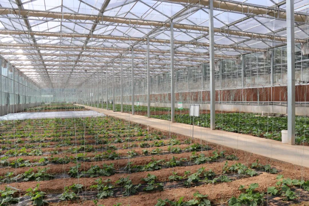 开元游戏大厅app·(中国集团)官方网站