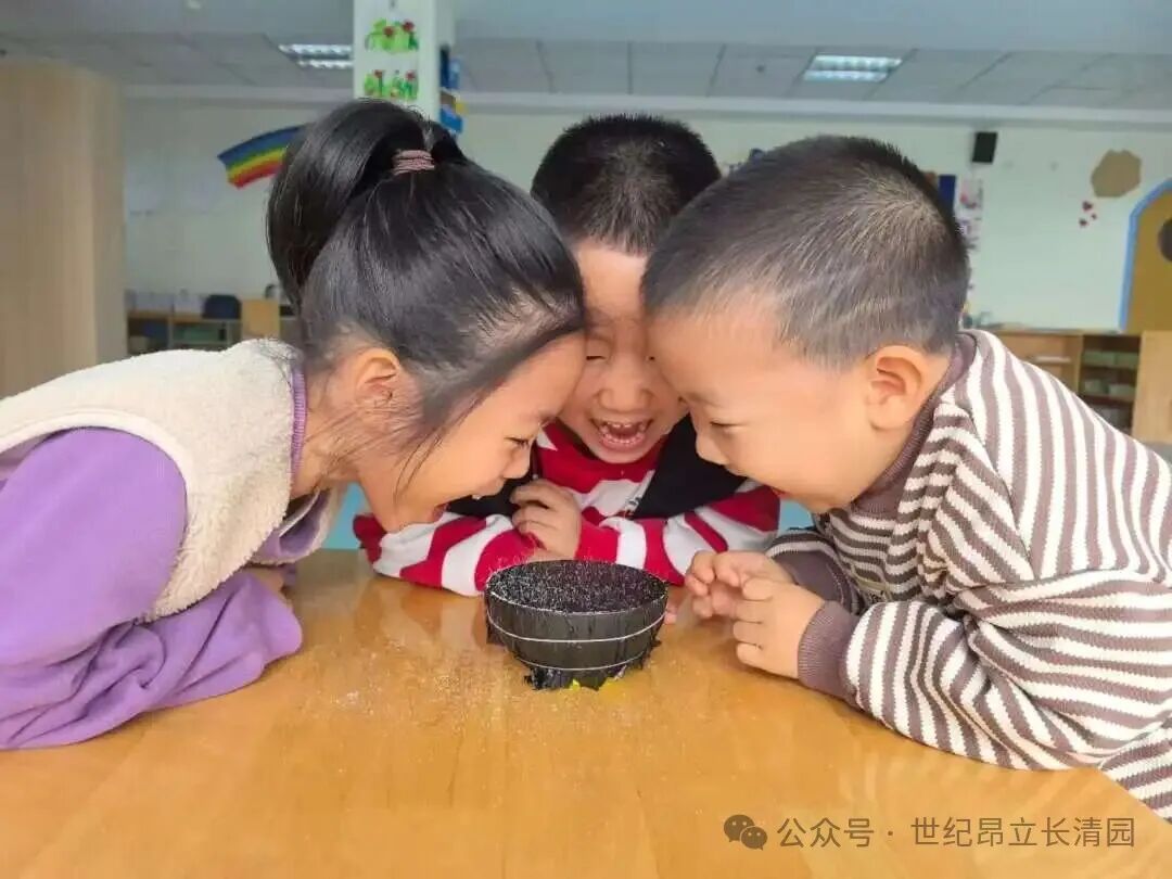 62f1885e91a2e96cfb301fbb9302ed1f 开元游戏大厅app·(中国集团)官方网站